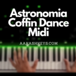 Astronomia (Coffin Dance) - Vicetone