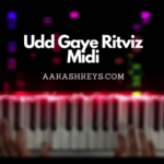 Udd Gaye - Ritviz
