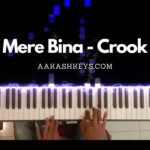 Mere Bina - Crook