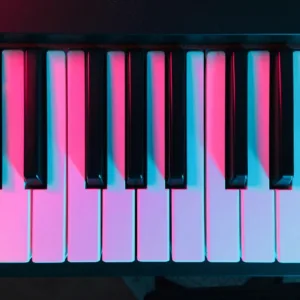 Alka Yagnik Bundle (Midi+Sheet)